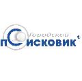 Городской Поисковик в Печоре